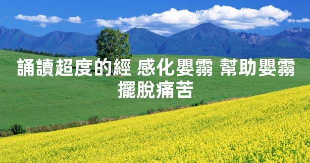 誦讀超度的經 感化嬰霛 幫助嬰霛擺脫痛苦